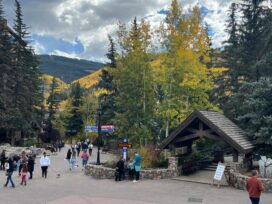 Vail fall foliage