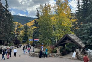 Vail fall foliage